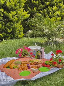 绿荫下的法式野餐：羊角面包、番茄与盆栽花卉的色彩盛宴