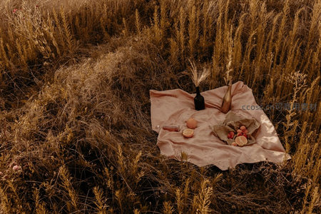 荒野中的极简野餐：亚麻布、麦穗与果实构成的秋日诗意画面