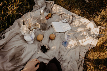 草地阅读时光：亚麻布上的书本与苹果静物