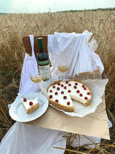 金黄麦田中的野餐时光：覆盆子芝士挞与白葡萄酒