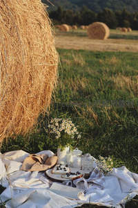 草垛旁的午后野餐：雏菊、蓝莓吐司与玻璃器皿的温柔光影