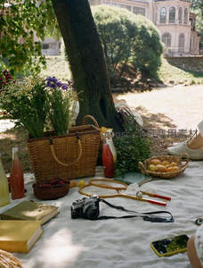 复古相机与花束点缀的庭院野餐布，古典建筑映衬悠闲午后