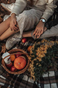 秋日野餐情侣手牵手，格纹毯上南瓜水果与干菊温馨相伴
