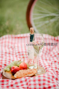 红白格纹野餐布上的白葡萄酒、桃子与羊角面包静物