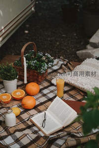 庭院角落格纹毯上的晨光阅读野餐：橙子、书本与绿植