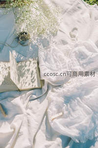 阳光下的白色蕾丝与书本：微距光影中的浪漫静物组合