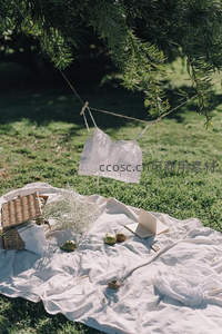 松树下白色布巾野餐场景，悬挂蕾丝内衣与藤编篮子
