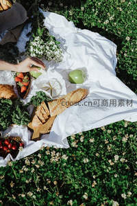 阳光草坪野餐：法棍、奶酪与新鲜浆果的惬意时光