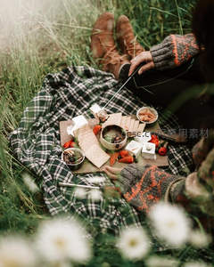 格纹毯上的篝火零食：烤棉花糖与奶酪草莓的森林野趣