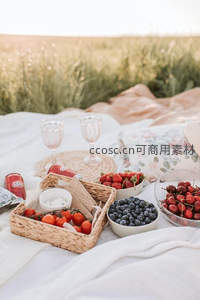 同款野餐场景不同构图，焦点聚焦于番茄与奶酪小食篮细节