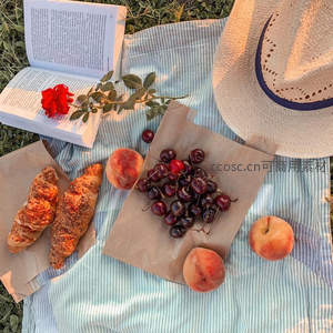 蓝白条纹布上的夏日馈赠：樱桃桃子、羊角面包与红玫瑰伴读时光