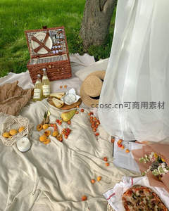 春日草坪野餐：藤箱奶酪樱桃与轻纱飘逸