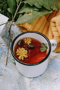 野餐地图上搪瓷杯盛花草茶，黄菊松果绿叶点缀秋日户外