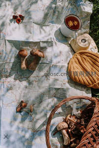 野餐地图上的新鲜采摘蘑菇与花茶静物