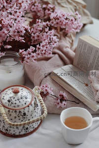 春日樱花茶席静物：手绘花瓷壶、书卷与暖意围巾的温柔时光