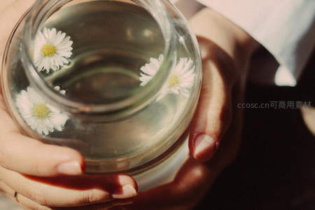双手捧玻璃罐，清水浮雏菊，暖光映指尖，清新治愈感十足