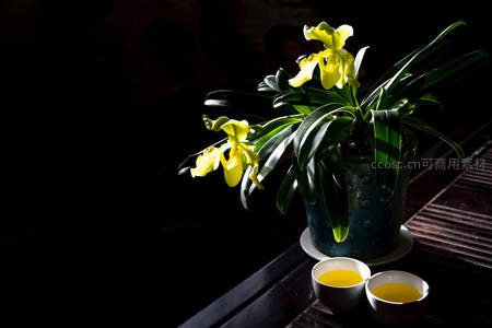 暗调光影中黄色兜兰与两盏茶汤静物特写