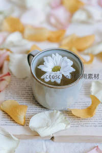 花瓣散落书页间，白菊浮于清茶之上柔美意境
