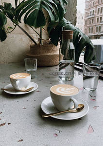 窗边绿植旁的两杯拉花咖啡静物写真