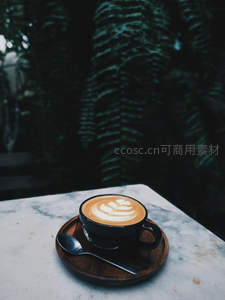 大理石台面黑瓷杯拉花咖啡，蕨类绿植背景静谧雅致