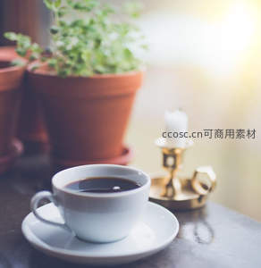 窗边静谧：白瓷咖啡杯与香草盆栽的晨光时刻