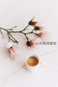 玉兰花枝与金边咖啡杯静物，简约白色大理石台面清新雅致