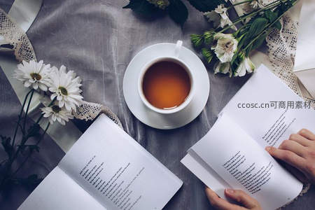 灰布背景上茶杯、书本与雏菊构成的静谧阅读时光