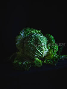 暗调光影下的翠绿卷心菜，纹理清晰，氛围静谧而富有艺术感