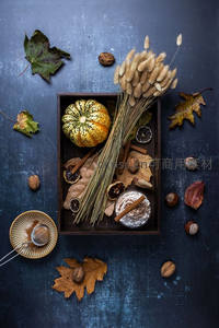 深蓝背景秋日静物组合：彩绘南瓜、干草与落叶香料摆盘