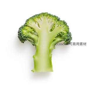 纯白背景西兰花切面特写，纹理清晰结构分明