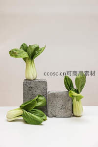 上海青创意陈列于水泥块上，现代工业风与自然绿植的对比美学