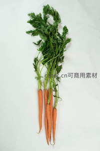新鲜带叶胡萝卜特写，橙色根茎与翠绿缨子对比鲜明