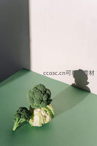 西兰花与花椰菜静物构图，极简光影艺术感十足