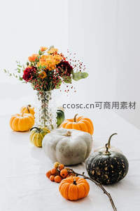 秋日静物：南瓜花束与多彩瓜果的温馨摆拍