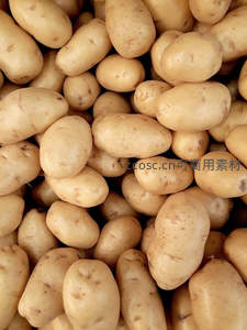堆叠黄皮土豆特写，表皮纹理清晰自然质朴