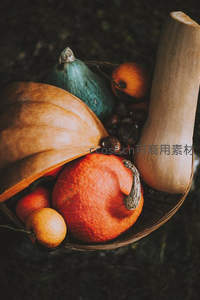 藤编篮中盛放多彩南瓜与柑橘，暖调秋收丰收景象