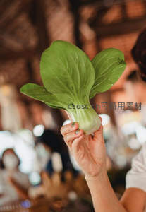 手握翠绿小白菜特写，水珠晶莹，背景虚化市场光影