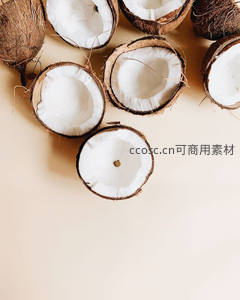 新鲜剖开的椰子特写，洁白果肉与棕褐外壳对比鲜明