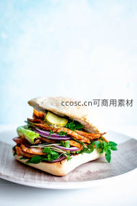 手工鸡肉三明治特写，夹层丰富层次分明