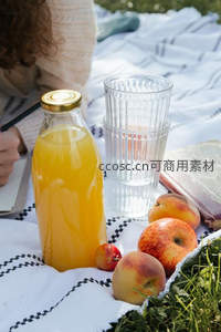 野餐垫上玻璃瓶装橙汁与新鲜桃苹果，书本与空杯相伴，阳光洒落绿草间