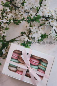 樱花枝下马卡龙礼盒，粉绿彩壳系丝带，春日浪漫甜品摆拍