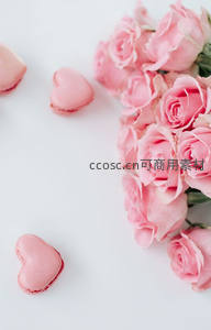 粉色玫瑰与心形马卡龙静物美学，柔美浪漫的甜品花艺组合