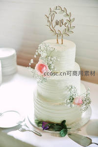 双层纹理奶油蛋糕配‘Love’叶环顶饰与满天星玫瑰