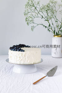 纯白奶油蛋糕配浆果顶饰，简约北欧风摆拍，搭配干花与银铲