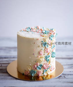 马卡龙色贝壳糖霜蛋糕，手绘花瓣与珠光糖珠点缀