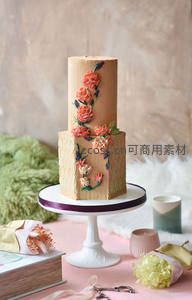 米色双层裱花蛋糕，手绘花卉藤蔓装饰，柔光静物摆拍文艺风