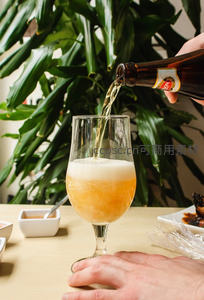 精酿啤酒倒入郁金香杯，泡沫绵密，绿植背景清新自然