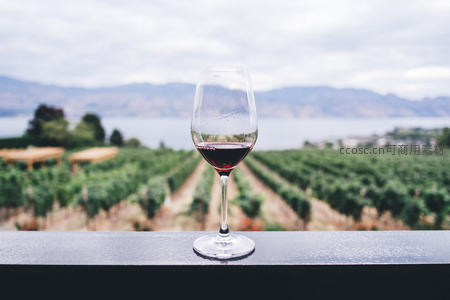 葡萄园露台上的红酒杯，远眺湖光山色与整齐 vineyard