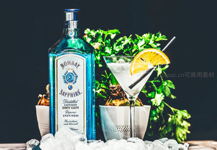 蓝瓶 Bombay Sapphire 金酒搭配冰镇马天尼与橙片，绿植点缀的现代调酒场景