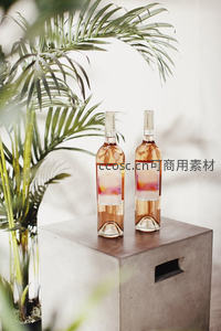 两瓶桃红葡萄酒置于水泥台面，绿植点缀，简约现代生活美学